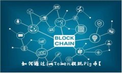 如何通过imToken提现Pig币？