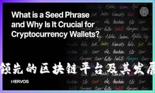 美国领先的区块链平台及其发展现状