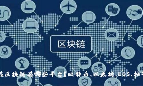 现在区块链有哪些平台?比特币、以太坊、EOS、柚子等