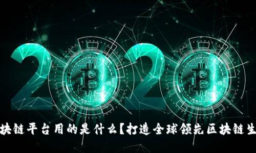 唯一区块链平台用的是什么？打造全球领先区块链生态系统