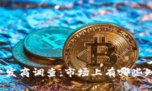区块链平台开发商调查:市场上有哪些知名开发公司?