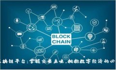 顶级区块链平台：掌握交易未来，拥抱数字经济