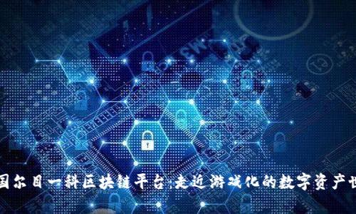泰国尔目一科区块链平台：走近游戏化的数字资产世界