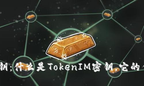 TokenIM密钥:什么是TokenIM密钥,它的作用是什么?