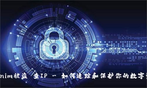 Tokenim被盗 查IP - 如何追踪和保护你的数字资产？