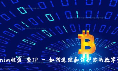 Tokenim被盗 查IP - 如何追踪和保护你的数字资产？