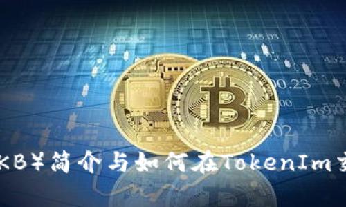 玩客币(WKB)简介与如何在TokenIm交易所购买