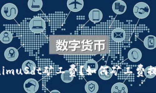 什么是TokenimuSdt矿工费?如何矿工费提高交易速度?