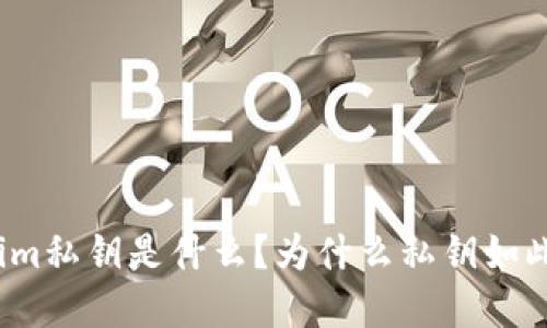 Tokenim私钥是什么?为什么私钥如此重要?
