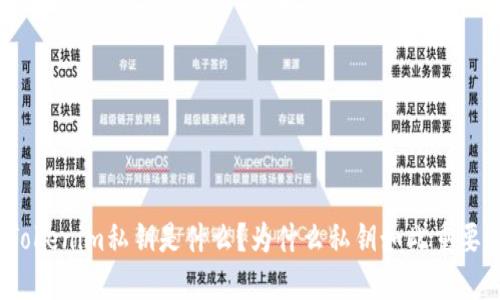 Tokenim私钥是什么?为什么私钥如此重要?