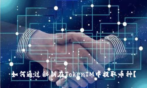 如何通过秘钥在TokenIM中提取币种？