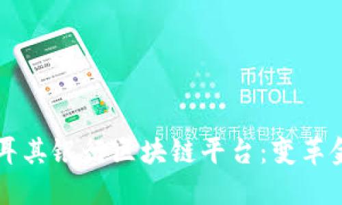 深入探讨土耳其银行区块链平台：变革金融业的未来
