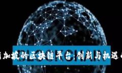 探索新加坡的区块链平台：创新与机遇的结合