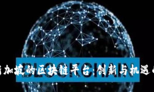 探索新加坡的区块链平台：创新与机遇的结合