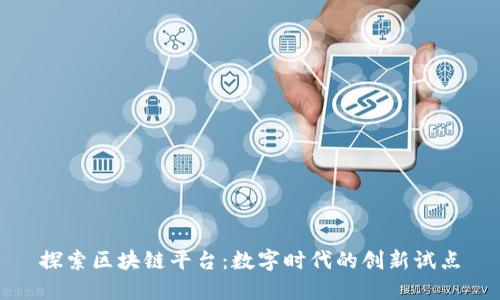 探索区块链平台：数字时代的创新试点