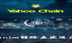 如何解决Tokenim转账未发送问题：全面指南