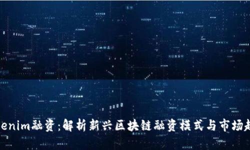 Tokenim融资：解析新兴区块链融资模式与市场趋势
