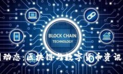 最新币圈动态：区块链与数字货币资讯全景解析