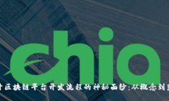 揭开区块链平台开发流程的神秘面纱：从概念到