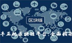 如何选择信丰正规区块链平台：全面指南与最佳