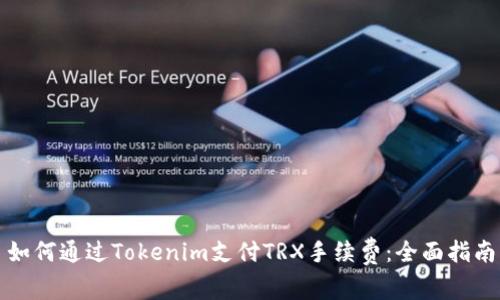 如何通过Tokenim支付TRX手续费：全面指南