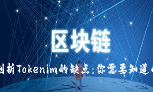 深入剖析Tokenim的缺点：你需要知道的真相