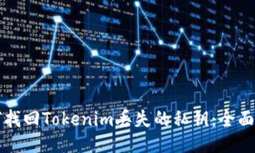 如何找回Tokenim丢失的私钥：全面指南