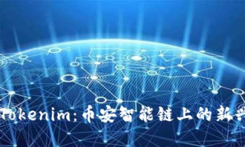 深入探索Tokenim：币安智能链上的新兴数字货币