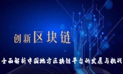 全面解析中国地方区块链平台的发展与挑战