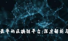 揭开国内最牛的区块链平台：深度解析与前景展