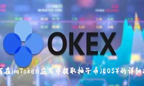 如何在imToken应用中提取柚子币（EOS）的详细指南