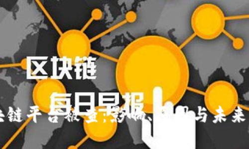 区块链平台被查：影响、原因与未来展望