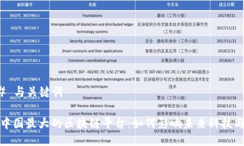 ### 与关键词

揭秘中国最大的区块链平台：如何影响未来科技与金融
