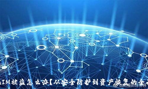   
TokenIM被盗怎么办？从安全防护到资产恢复的全面指南