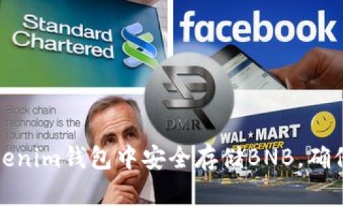 如何在Tokenim钱包中安全存储BNB，确保资产安全