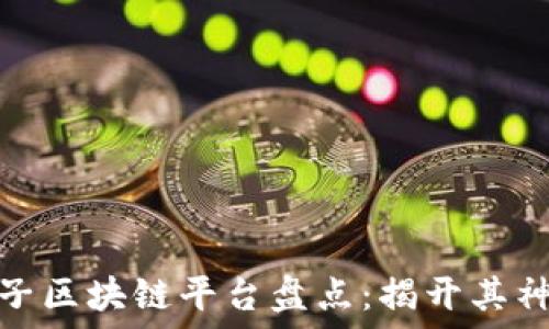   
首个电子区块链平台盘点：揭开其神秘面纱
