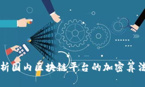 全方位解析国内区块链平台的加密算法及其应用