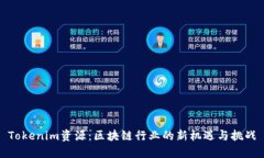 Tokenim资源：区块链行业的新机遇与挑战