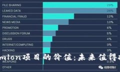 Tokenimlon项目的价值：未来值得投资吗？