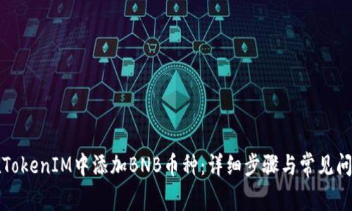 如何在TokenIM中添加BNB币种：详细步骤与常见问题解答