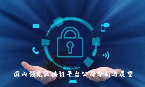 国内领先区块链平台公司分析与展望