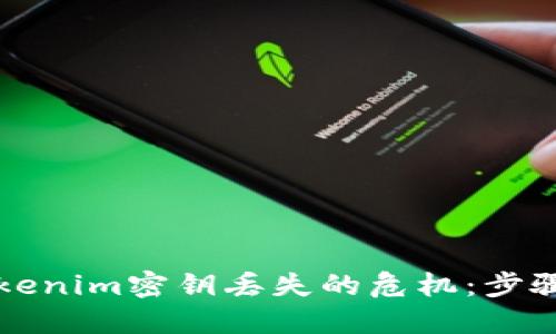 如何应对Tokenim密钥丢失的危机：步骤与最佳实践