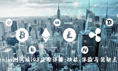 Tokenim测试版iOS应用详解：功能、体验与优缺点分析