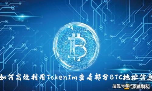 如何高效利用TokenIm查看部分BTC地址信息