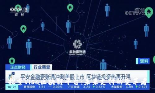 :  
探索Visa区块链平台：未来支付的变革者
