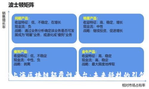 探索上海区块链颠覆性平台：未来科技的引领者