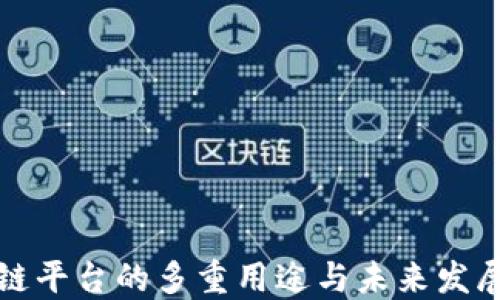 
区块链平台的多重用途与未来发展趋势