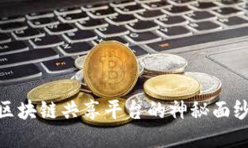 揭开巴西区块链共享平台的神秘面纱及其影响