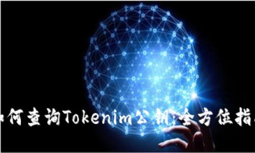 如何查询Tokenim公钥：全方位指南
