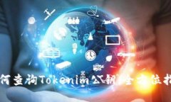 如何查询Tokenim公钥：全方位指南
